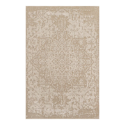 Indoor/Outdoor Traditional Area Rug