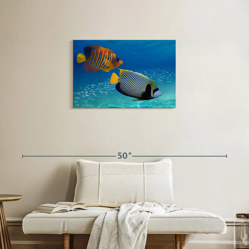 Brampt Exotic Emperor Angelfish, 20" H x 30" W