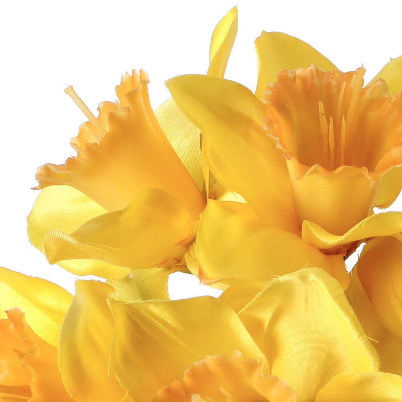 Daffodil Arrangement, Yellow