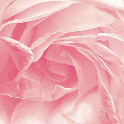 Géorgie - rose
