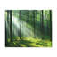 No Frame Print on Canvas-2136691601