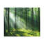 No Frame Print on Canvas