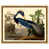 Picture Framed Canvas selected