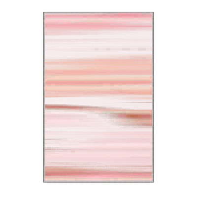 Premium Hall Carpet, 100% Polyester, 39.4 x 59.1 inches | 8 mm Pile Height, 650 g/m² | Antibacterial, Non-Slip PVC Felt Dot Underside, Machine Washable | 3D Digital Print, Durable & Stylish for Home Decor