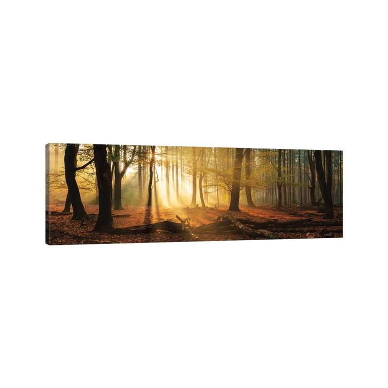 Speulderbos Panorama 1 Piece Wrapped Canvas Panoramic Painting, 121.92 cm H x 40.64 cm W x 1.91 cm D