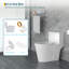 Toilette allongée monobloc 1,1 / 1,6 GPF à double chasse 12 po