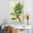 Harnek Front Yard Succulent III-108510536