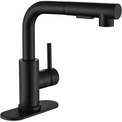 APPASO Pull Out Kitchen Faucet