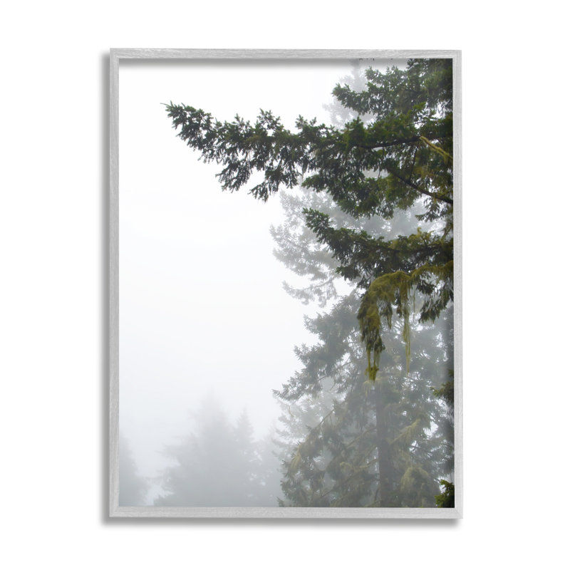 «Majestic Pine Tree Overhang» par Debra Van Swearingen - photographie sur bois, H 20 po x l 16 po x P 1,5 po