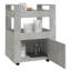 60 Cm Kitchen Trolley-1966200244