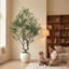 Arbre d'olivier artificiel multi-branches 7 pi-1191845265
