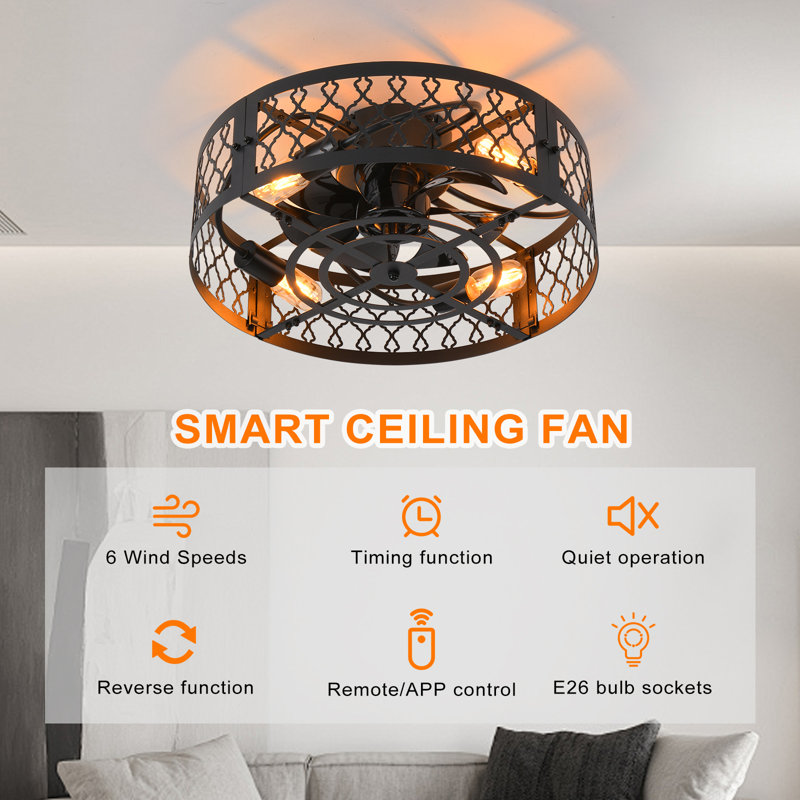 Otylia 19.7'' Farmhouse Reversible Caged Ceiling Fan with Light Kit and Remote, Matte Black