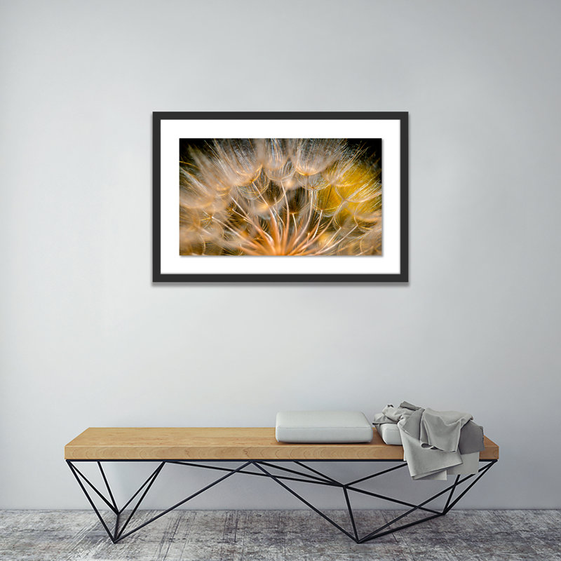 Float Away Print by Geoffrey Baris, 25" H x 40" W x 2.5" D, Black