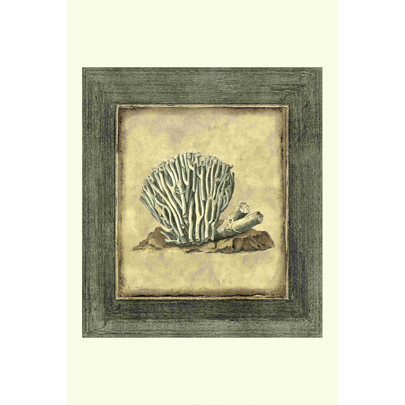 Mini Exotic Coral IX (U) by Vision Studio - Wrapped Canvas Print, 48" H x 32" W