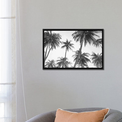 " Tropical In Black & White " by Sisi & Seb
