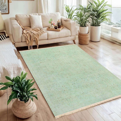 Faded Mint Patina Area Rug