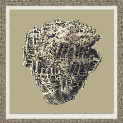 Graphic Coral Collection 6' Framed Graphic Art Print on Glass