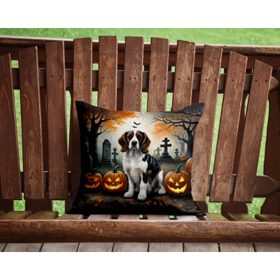 Outdoor Throw Pillow