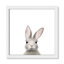 Art encadré en lapins forestières-48188940-48188936