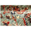 One-of-a-Kind 2'5" X 11'9" Area Rug