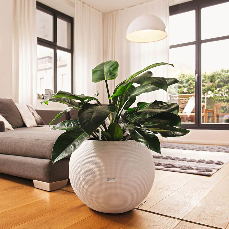 Pot Planter, White, 50.5 cm H x 50 cm W x 50 cm D