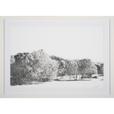 Penair Print by Robert Robinson