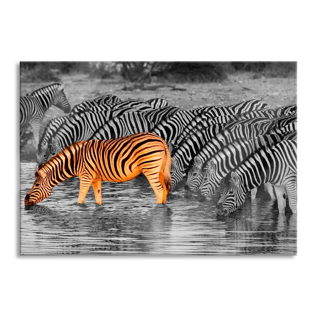 Glasbild Zebras am Wasserloch