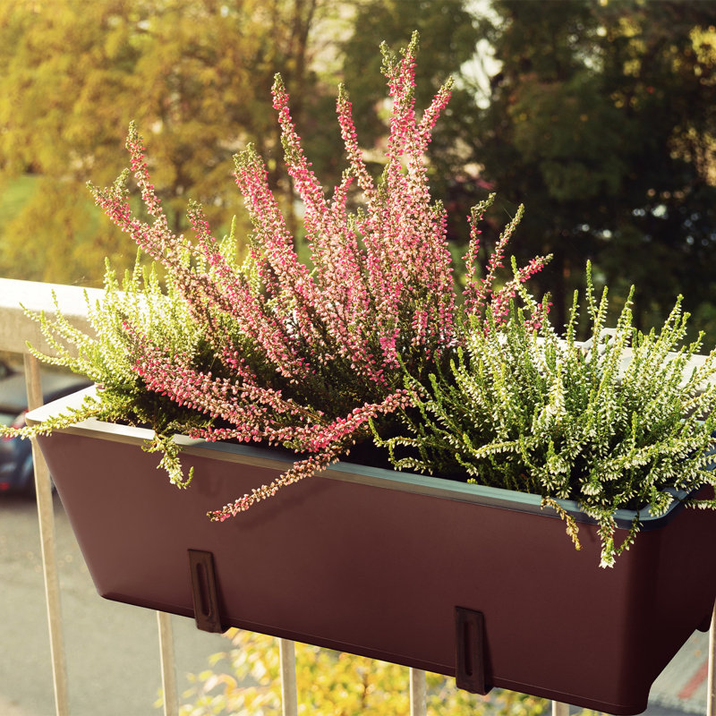 Self-Watering Planter Box, Brown