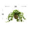 Nunn Faux Ivy Plant in Pot-557211656-557211657