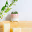 Ceramic Pot Planter-63880915