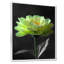 Vert, noir, jardin, glamour, souci, art mural-110988783-148096706