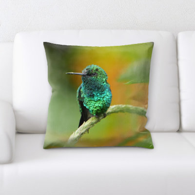Coussin décoratif Pnut