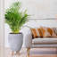 Multi-Directional Striped Egg Planter with Feet-590648293-590648292