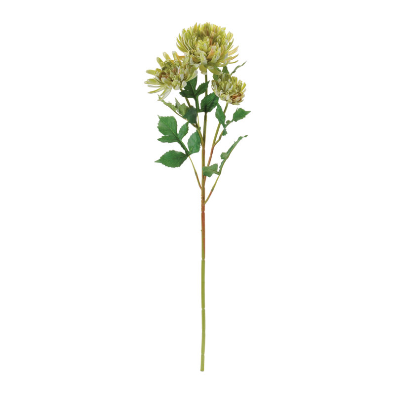 Mum floral, Jaune