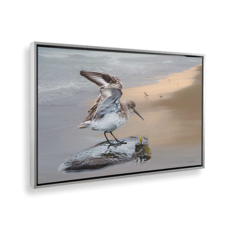 «Sanderling Landing» par Robin-Lee Vieira, reproduction d'art, Framed Canvas, 30 W x 20 H, Silver