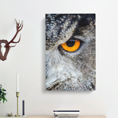 Eye Of An Owl - Wrapped Canvas
