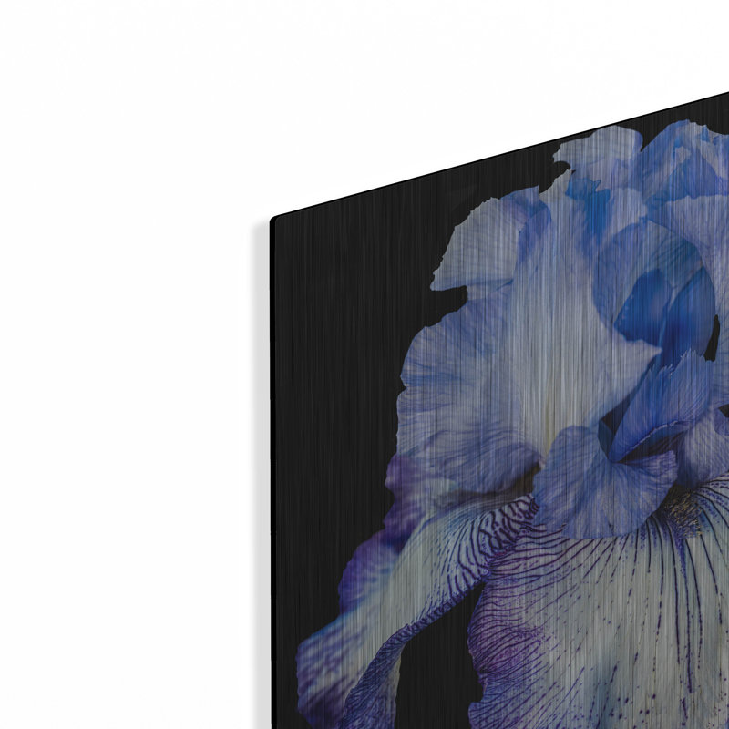 "Ooh Iris" par Pamela Plummer, H 12 po x l 12 po
