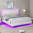 Keynen Farmhouse Floating Bed Frame with LED Light and Headboard-1230101491-1230101488