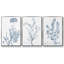 Ensemble de 3 pièces botaniques antiques encadrées sur toile V-768980003-768980000