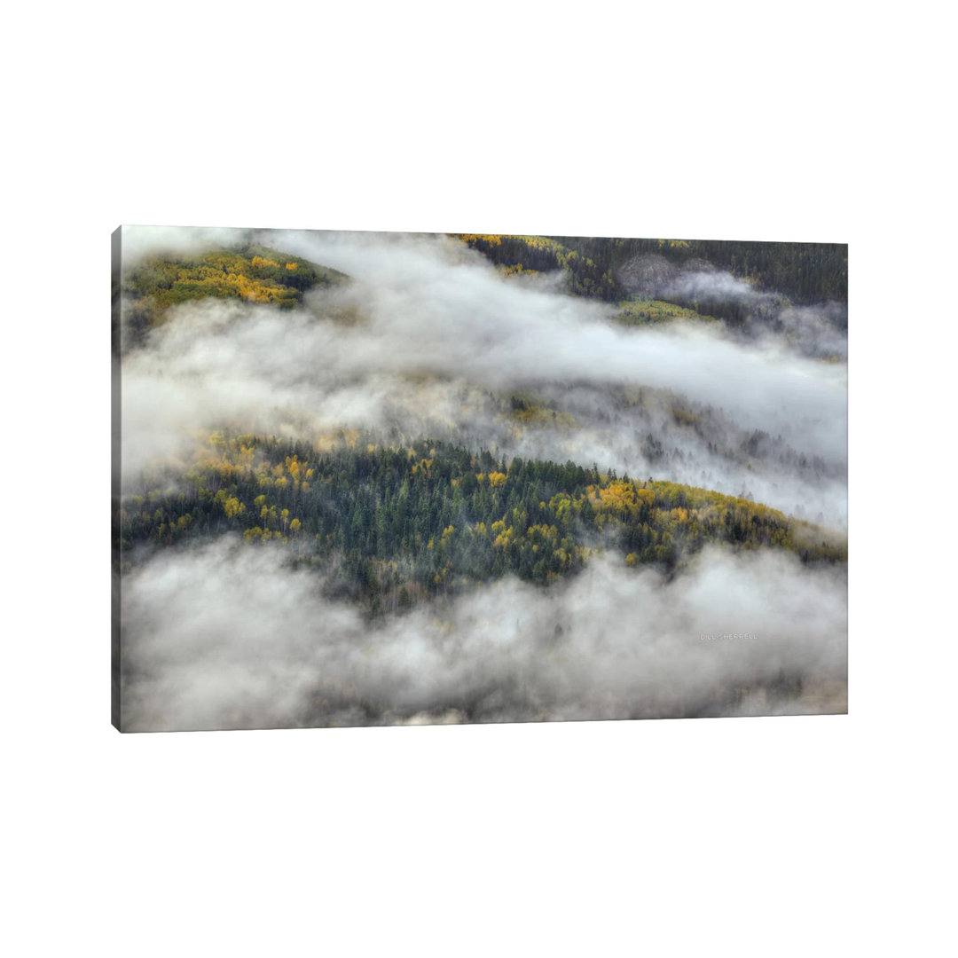 Aspen Forest In The Clouds von Bill Sherrell - Gallery-Wrapped Canvas Giclée on Canvas