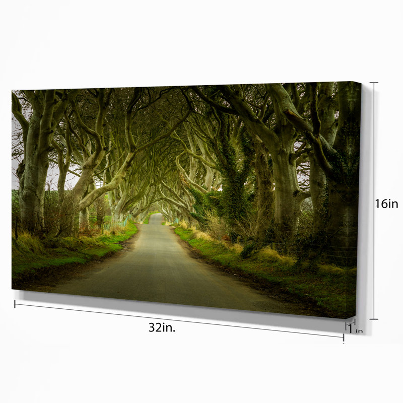 Dark Hedges Road Landscape Canvas Art Print, 32" x 16"
