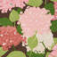Hydrangea Fabric-63940469