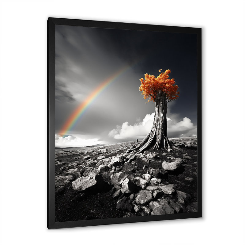 Arc-en-ciel en arc-de-gris sur un oranger - impression, Cadre photo noir, H 32 po x l 16 po x P 1 po