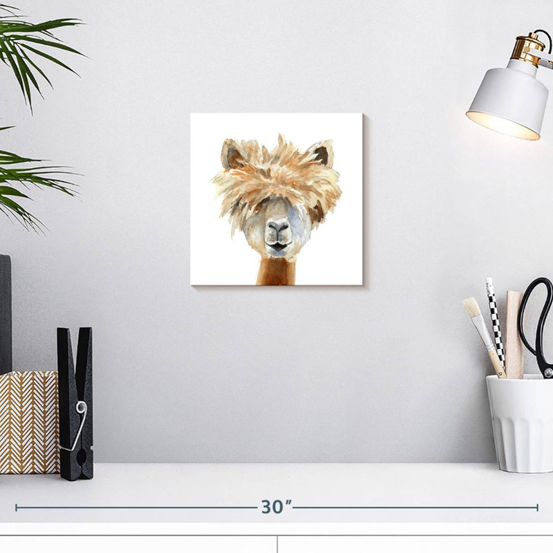 Brampt Llama With Bangs