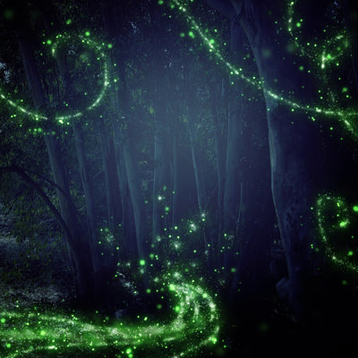Firefly sur toile, impression
