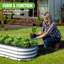 Ensemble de jardin surélevé galvanisé Backyard Expressions Home 8 x 4 x 1 pi, jardinière surélevée pour l'extérieur-111079653