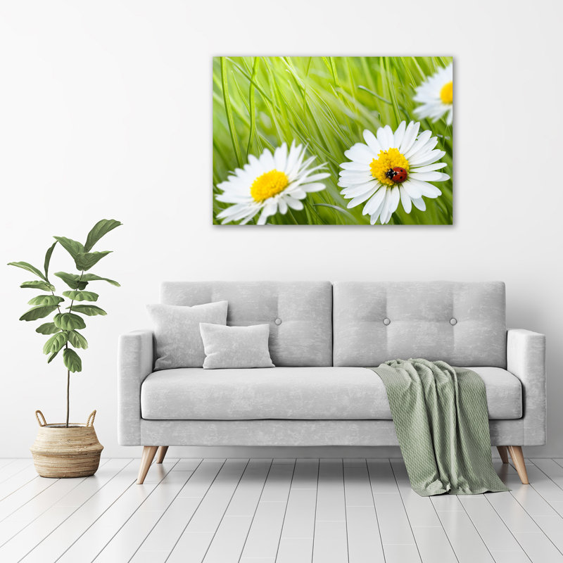 Daisies - Wrapped Canvas Print