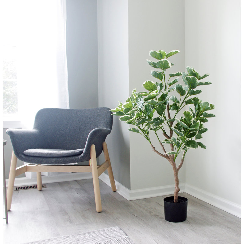 Faux Money Tree Plant in Pot, 47" H x 22" W x 22" D