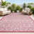 Light Grey/Fuchsia
