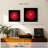 Harnek Bright Red Daisy